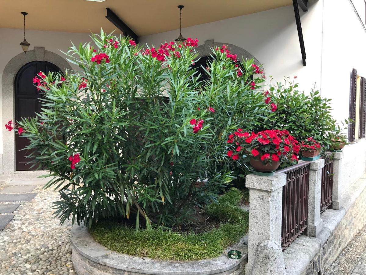 Villa Ombrosa Nebbiuno Kültér fotó
