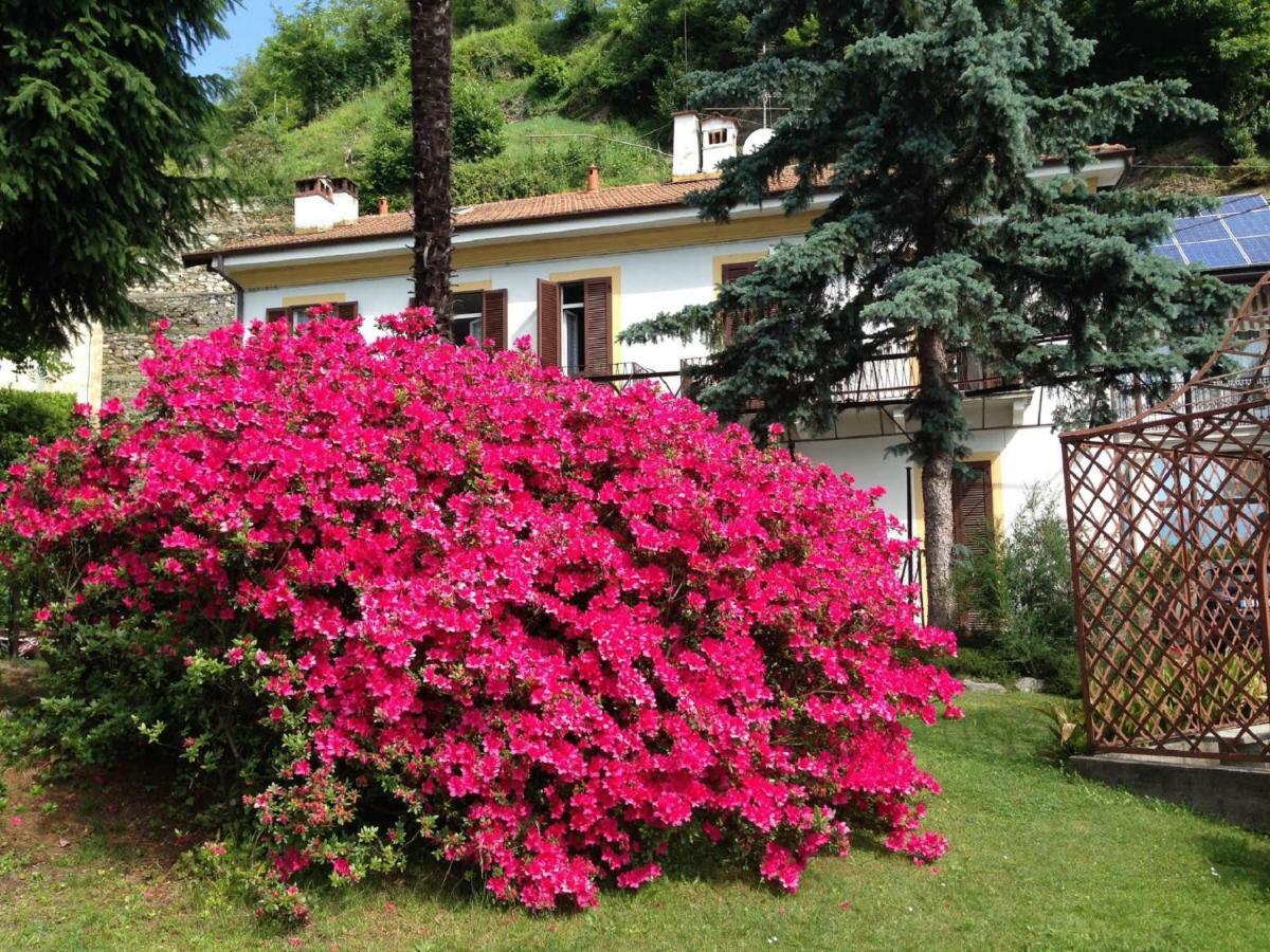 Villa Ombrosa Nebbiuno Kültér fotó